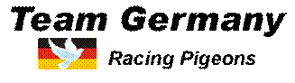 Logo TG
